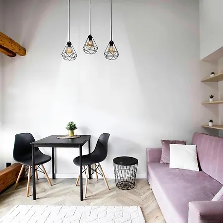 Apartment Beautiful Studio With Air Conditioning, Cracow Old Town